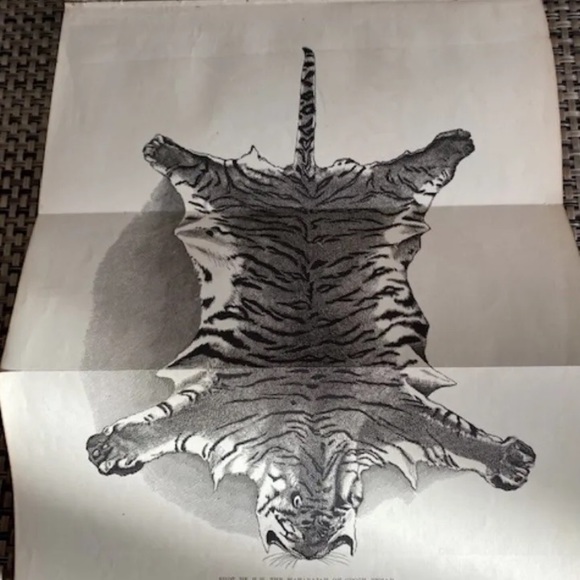 The Sportman’s Handbook By Rowland Ward F.Z.S. 1894 7th Edition (202 Pages) - Picture 9 of 9